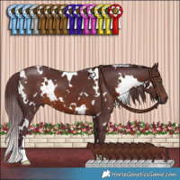 Horse Color:White Spotted Chocolate Brown 