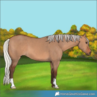 Horse Color:Silver Brown Dun 