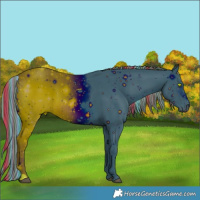 Horse Color:ERROR: UNKNOWN ANOMALY