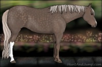 Horse Color:Silver Black 