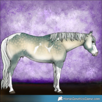 Horse Color:Watercolor Silver Blue Onyx Chinchilla Tobiano Rabicano 