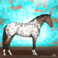 Horse Color:Liver Red Dun Appaloosa Rabicano 