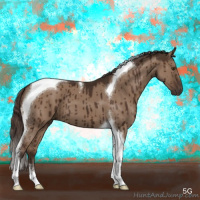 Horse Color:Liver Red Dun Tobiano Brindle 