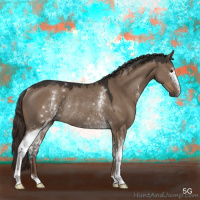 Horse Color:White Spotted Liver Red Dun Rabicano 