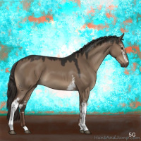 Horse Color:White Spotted Liver Red Dun 
