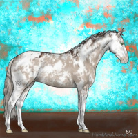 Horse Color:Liver Red Dun Mushroom Sabino Rabicano 