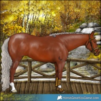Horse Color:Chocolate Silver Bay 