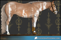 Horse Color:Chocolate Palomino Sabino 