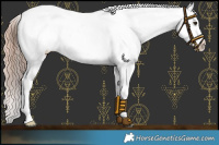 Horse Color:Red Dun Blanket 