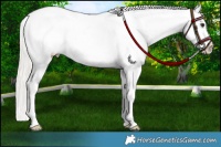Horse Color:Chocolate Silver Bay Dun Near Leopard Rabicano 