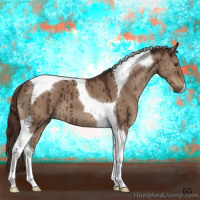 Horse Color:Liver Red Dun Tobiano Brindle 