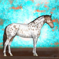 Horse Color:Bay Dun Tobiano Appaloosa Brindle 