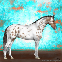 Horse Color:Brown Dun Tobiano Appaloosa Brindle 