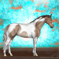 Horse Color:Silver Brown Dun Tobiano Rabicano 