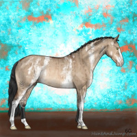 Horse Color:White Spotted Bay Dun Sabino Rabicano Brindle 
