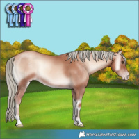 Horse Color:Gold Champagne Onyx Mushroom 
