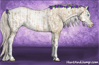 Horse Color:Chocolate Palomino Pearl Tobiano Frame  and Chocolate Palomino Pearl Tobiano Frame Appaloosa 