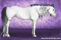 Horse Color:White Spotted Blue Roan Rabicano  and White Spotted Blue Roan Splash Rabicano 