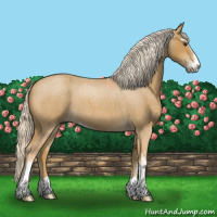 Horse Color:Palomino Roan Sabino