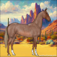 Horse Color:Red Roan 