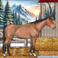 Horse Color:Bay Roan 