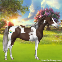 Horse Color:Liver Chestnut Splash Tobiano