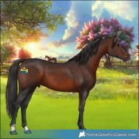 Horse Color:Brown 