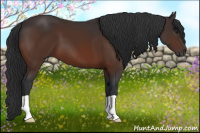 Horse Color:Brown 