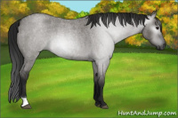 Horse Color:Gray Grullo Roan Tobiano 