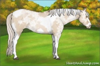 Horse Color:Silver Grullo Ice Pearl Tobiano Frame 
