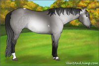 Horse Color:Gray Grullo Tobiano 