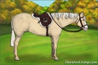 Horse Color:Silver Classic Cream Champagne Splash