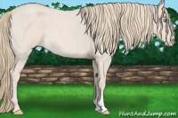Horse Color:Smoky Creme Roan 