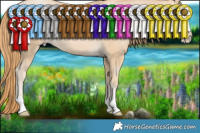 Horse Color:Smoky Black Pearl