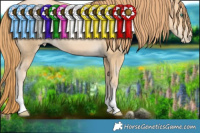 Horse Color:Smoky Black Pearl 
