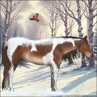 Horse Color:Liver Chestnut Tobiano 