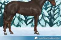Horse Color:Liver Chestnut 