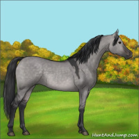 Horse Color:Platinum Brown Dun 