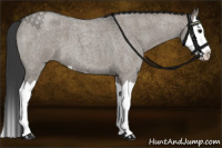 Horse Color:Grullo Roan Splash 