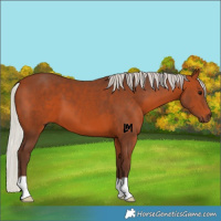 Horse Color:Silver Bay