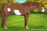 Horse Color:Chestnut Frame