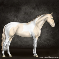 Horse Color:Buckskin Roan Pearl Tobiano