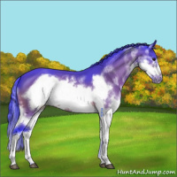 Horse Color:Watercolor Brown Splash Frame 