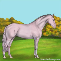 Horse Color:Watercolor Cremello Dun Tobiano 