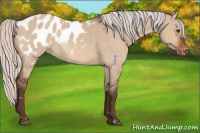 Horse Color:Silver Brown Dun Blanket 