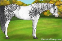 Horse Color:White Spotted Black 