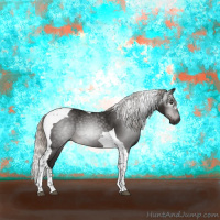 Horse Color:Gray Silver Brown Tobiano 