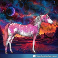 Horse Color:Painted Watercolor White Spotted Liver Chestnut Sabino Rabicano 