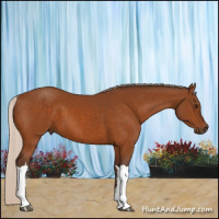 Horse Color:Silver Buckskin 