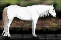 Horse Color:Chestnut Sabino